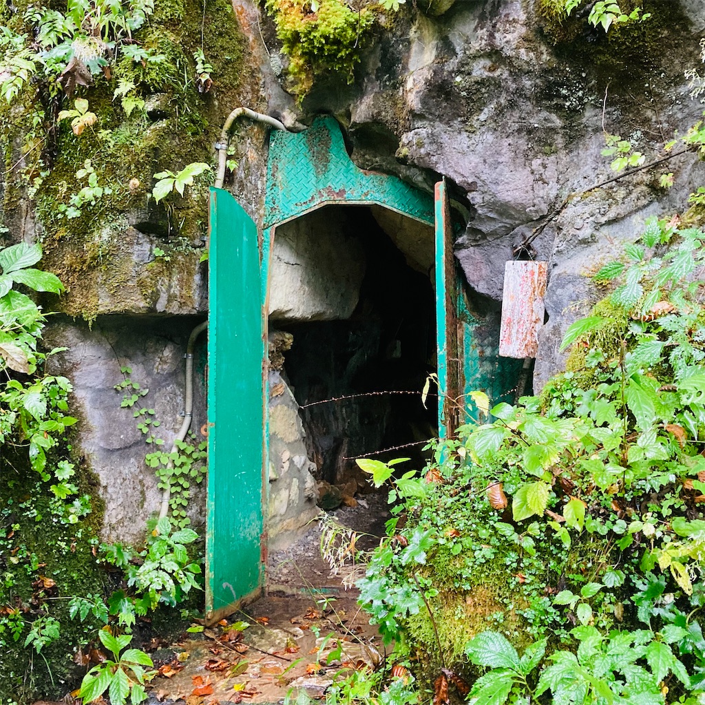 f:id:lebentur105:20211020171553j:image