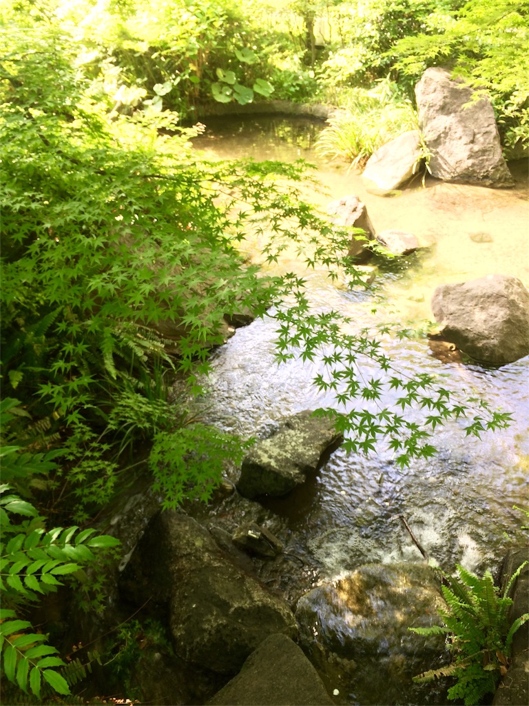 f:id:lebois_medi02:20180701192304j:image f:id:lebois_medi02:20180701192304j:image