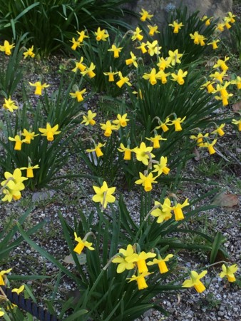 f:id:lecielblewjulia:20160321151346j:image f:id:lecielblewjulia:20160321151346j:image
