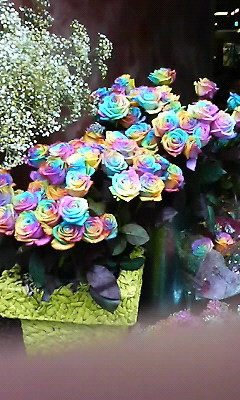 f:id:lecielblewsora:20080612063136j:image