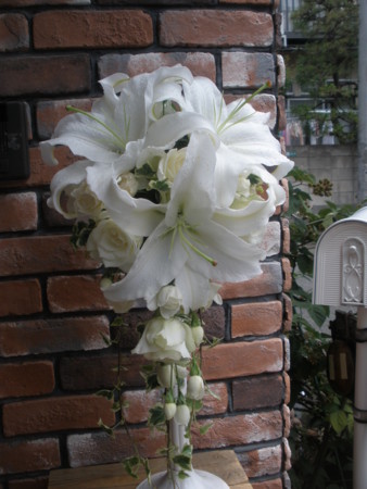 f:id:lecielblewsora:20130602113441j:image:w360:left f:id:lecielblewsora:20130602113441j:image:w360:left