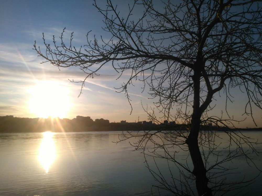 f:id:lecok:20200504020345j:plain