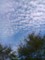 空