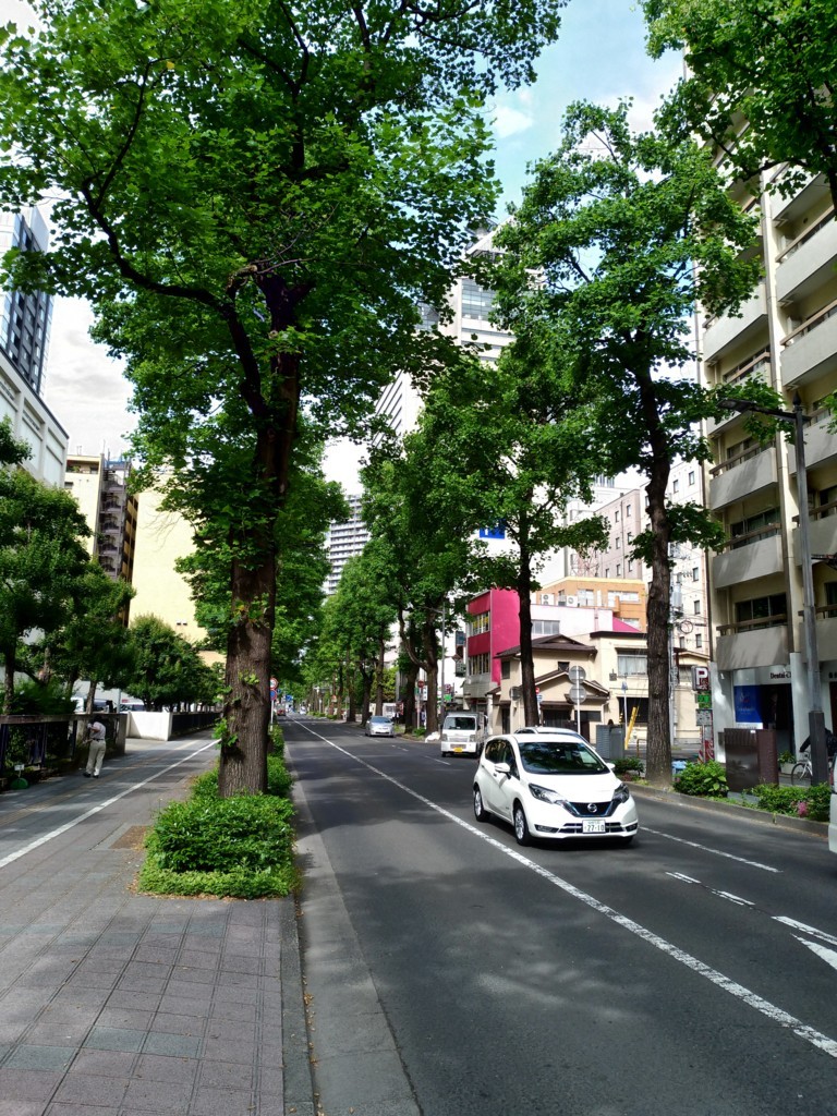 f:id:ledsun:20180601081925j:plain