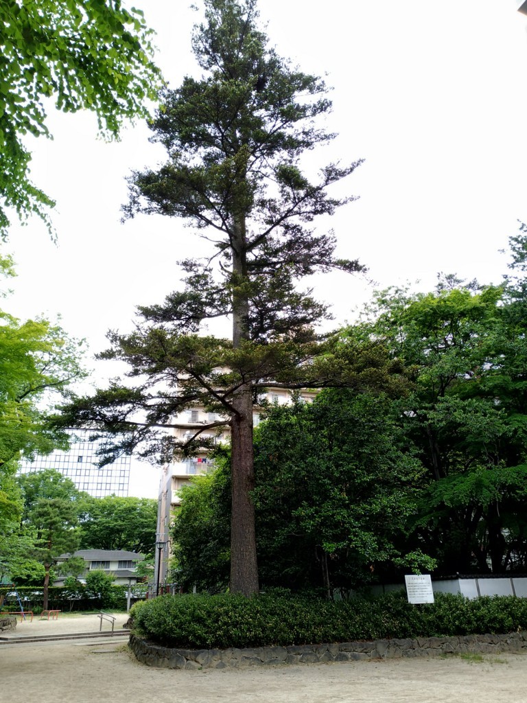 f:id:ledsun:20180601090114j:plain