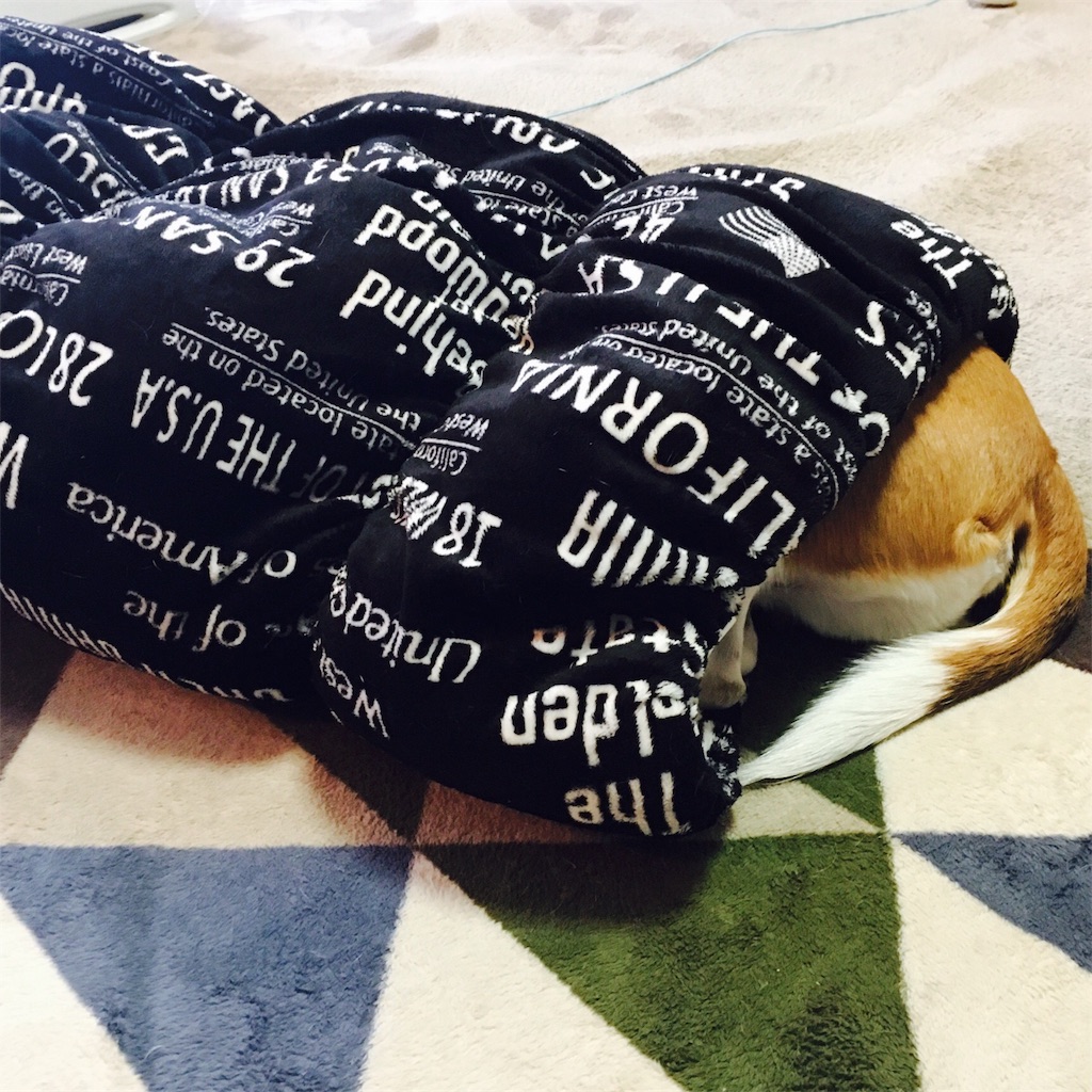 f:id:lee-blog:20170122133506j:image