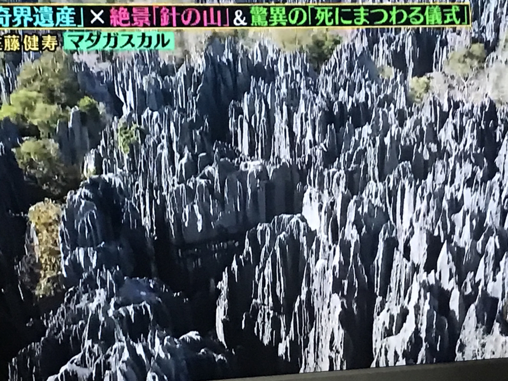 クレイジージャーニー 17年の放送回をすべて見たので 神回ベスト10を決める たかゆうの読書日記