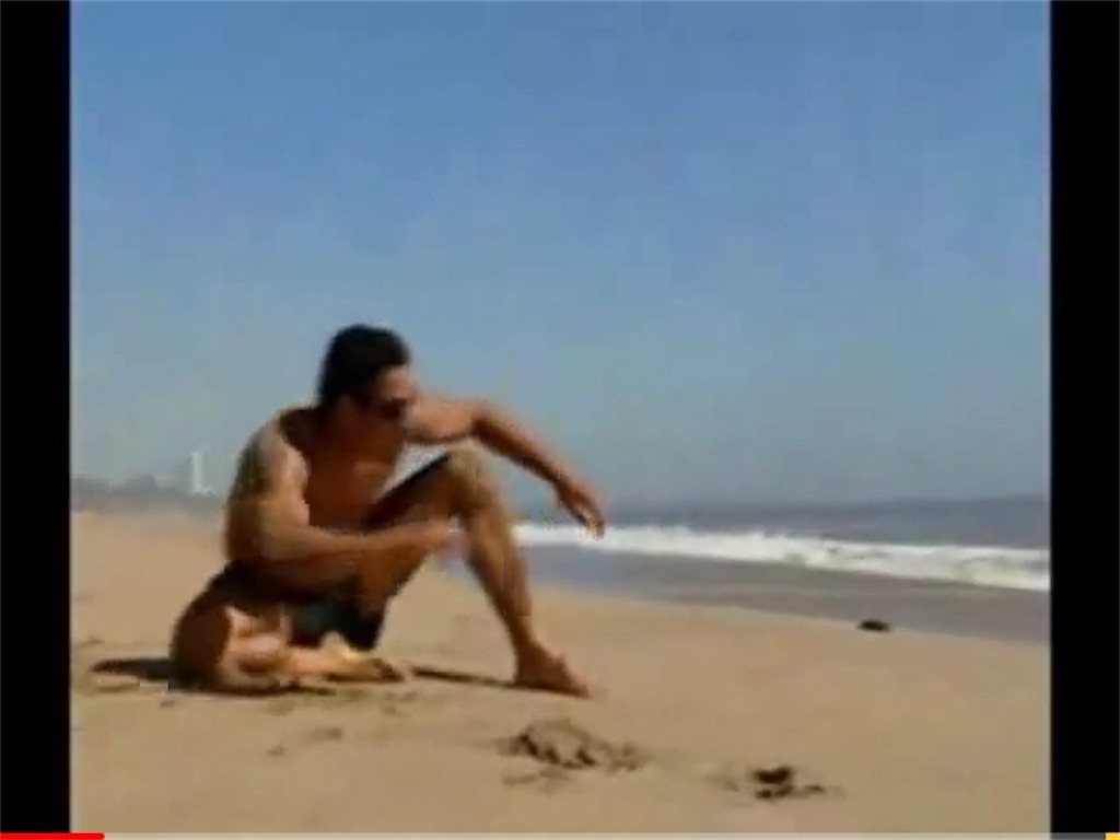 f:id:lefblog:20200605202401j:image