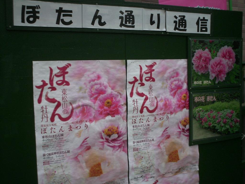 f:id:lefthand926:20200531190932j:plain f:id:lefthand926:20200531190932j:plain