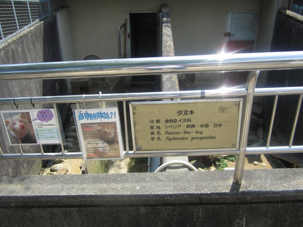 f:id:lefthand926:20200926135613j:plain