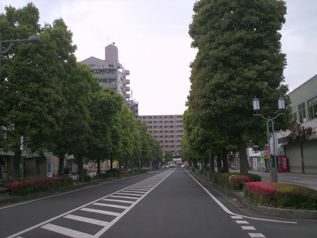 f:id:lefthand926:20210328053536j:plain