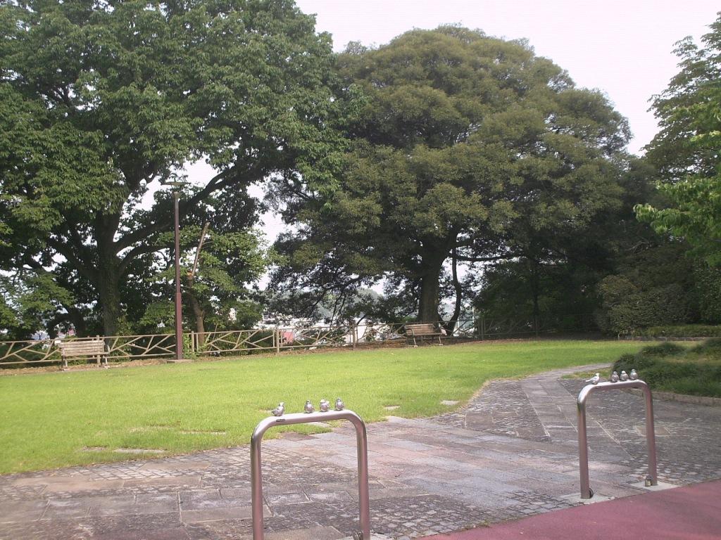 f:id:lefthand926:20210509125603j:plain