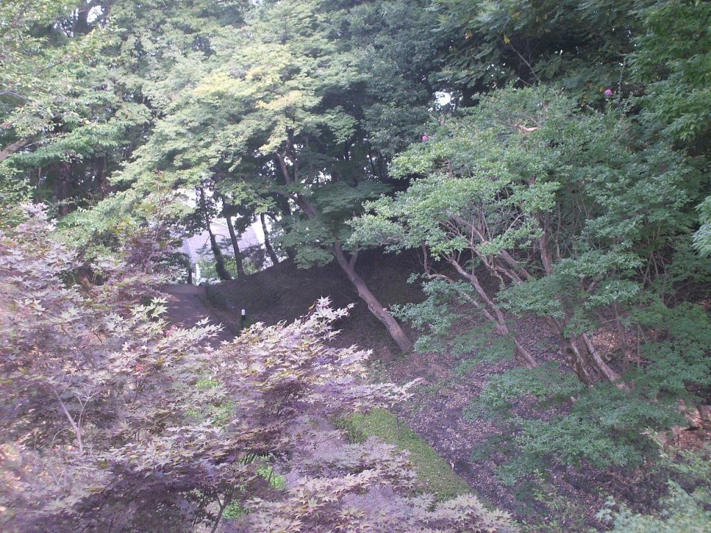 f:id:lefthand926:20210509131511j:plain