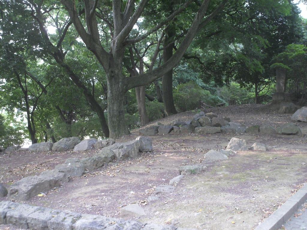 f:id:lefthand926:20210509140658j:plain