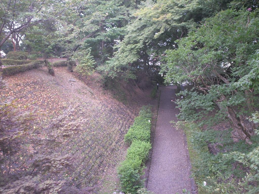 f:id:lefthand926:20210509141102j:plain