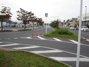 Img_0220 Img_0220