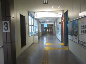 Img_2557_2 Img_2557_2