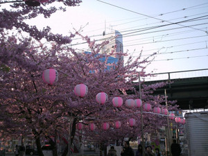 Himg0425
