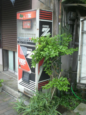 Himg0295