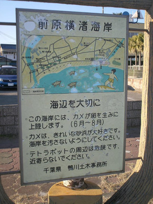 Himg0349