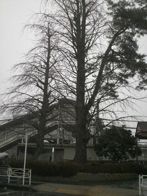 Himg0011 Himg0011