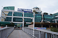 Dsc06875