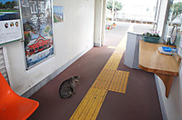 Dsc01528