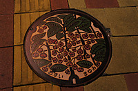 Dsc05555