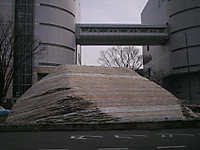 Himg0858