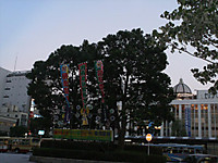 Himg0255