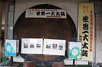Dsc03381