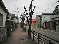 Himg0440