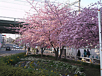 Himg0428