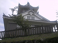 Himg0489