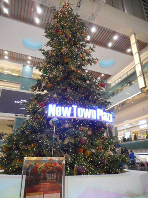 Dscn2960 Dscn2960