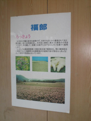 Himg0608