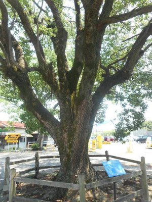 Dscn0182