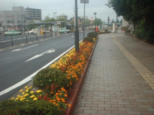 Dscf0336