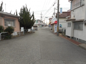 Dscn4167