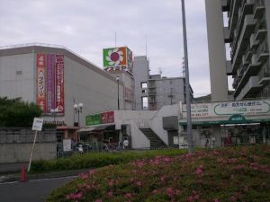 Himg0229