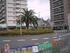 Himg0233