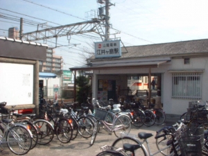 Photo_10