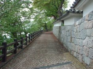 Photo_2