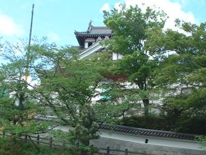 Photo_5