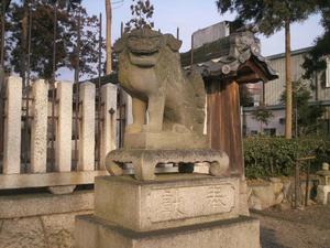 Himg0389