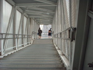 Dscf0353