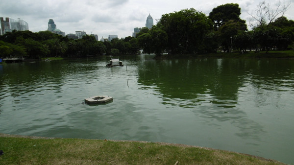 P1000309 P1000309