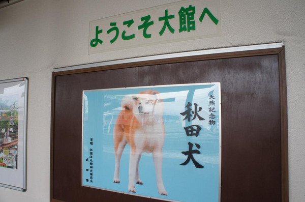 Dsc03355 Dsc03355