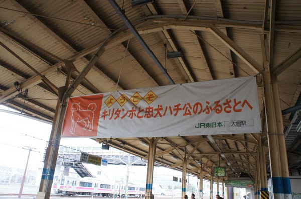 Dsc03373 Dsc03373
