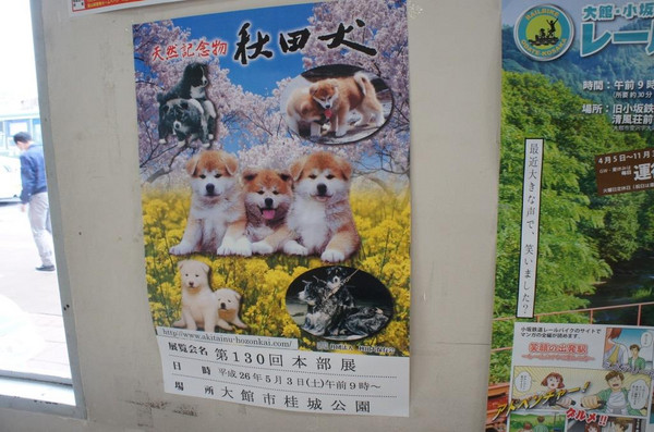 Dsc03354 Dsc03354